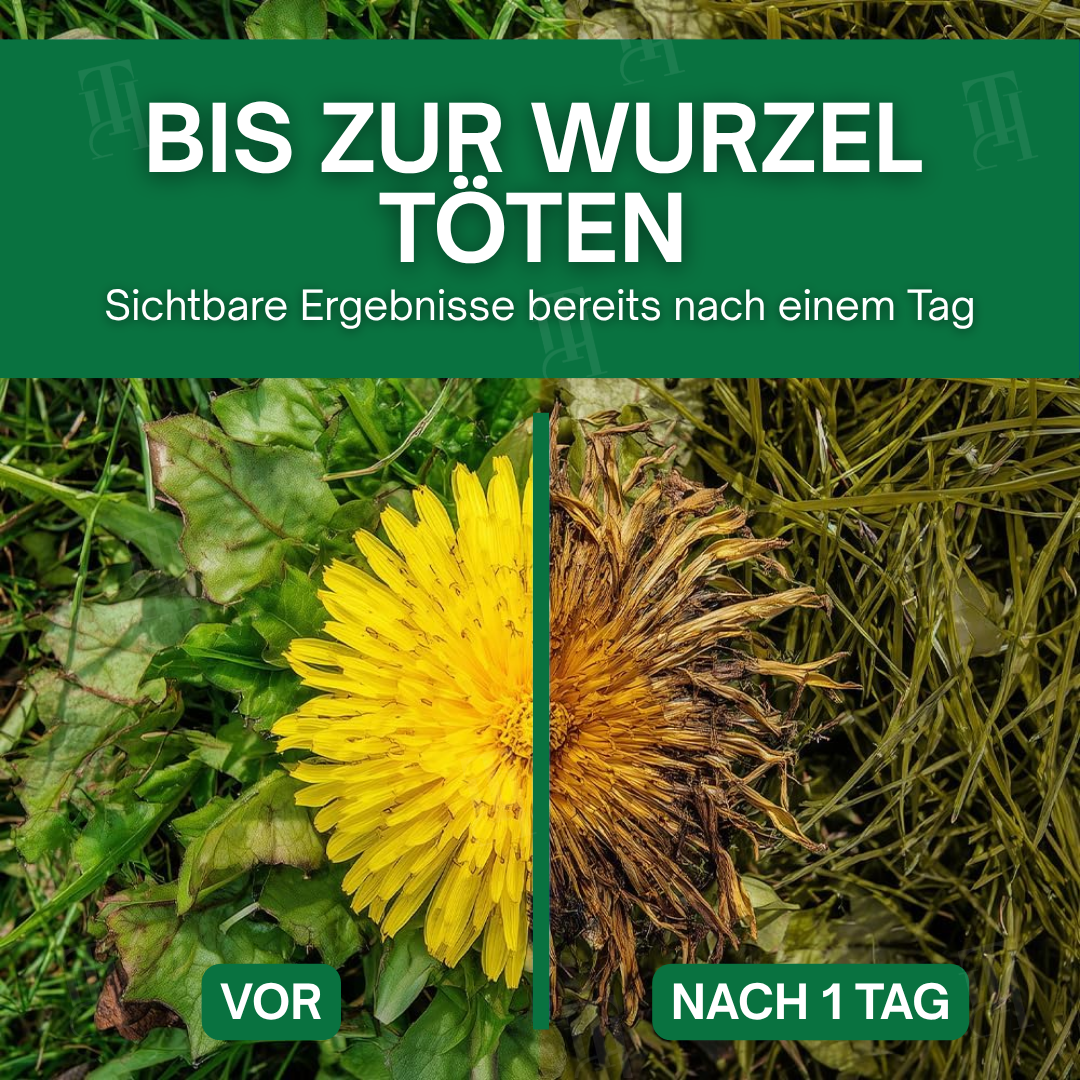 🔥RABATT – NIEDRIGSTER PREIS – 50 % RABATT🌿AEXZR® 3 in 1 Herbizid Maximaler Leistung